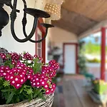 Quinta Da Mainha - Charming Houses - Com Piscina Privada Braga