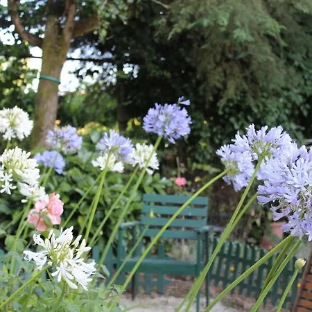 Quinta Da Mainha - Charming - Escape To Nature Дом отдыха