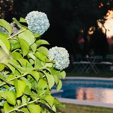 Quinta Da Maínha Solar Local Com Piscina Privada Em * Braga