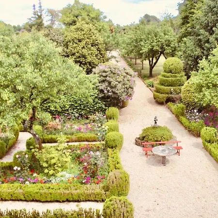 Quinta Da Mainha - Charming Holiday home *