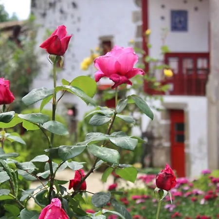 Quinta Da Mainha - Charming