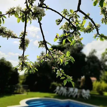 Holiday home Quinta Da Mainha - Charming Braga