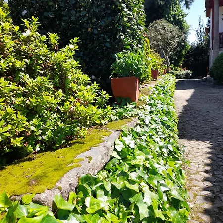 Casa de Férias Quinta Da Maínha Solar Local Com Piscina Privada Em