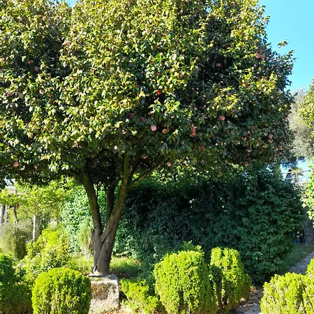 Quinta Da Maínha Solar Local Com Piscina Privada Em