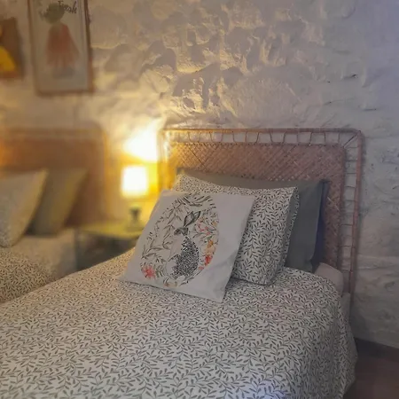 Quinta Da Maínha Solar Local Com Piscina Privada Em * Braga