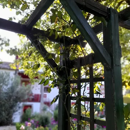 Quinta Da Maínha Solar Local Com Piscina Privada Em Casa de Férias *