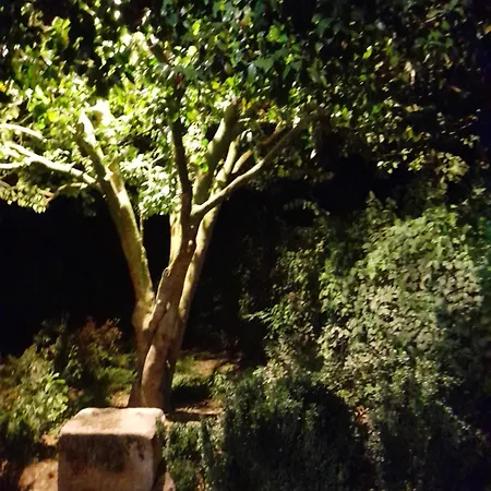Quinta Da Maínha Solar Local Com Piscina Privada Em Casa de Férias *