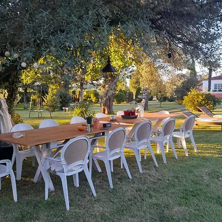 Quinta Da Maínha Solar Local Com Piscina Privada Em * Braga