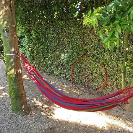 Quinta Da Mainha - Charming - Escape To Nature Будинок відпочинку *