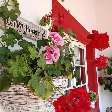 Quinta Da Mainha - Charming - Escape To Nature * Брага