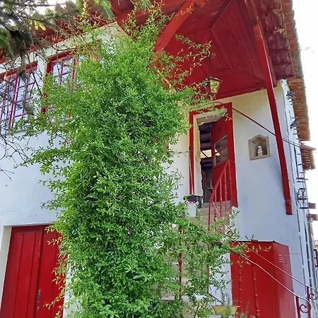 Quinta Da Mainha - Charming - Escape To Nature *