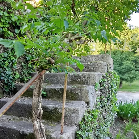 Quinta Da Mainha - Charming - Escape To Nature Будинок відпочинку Брага