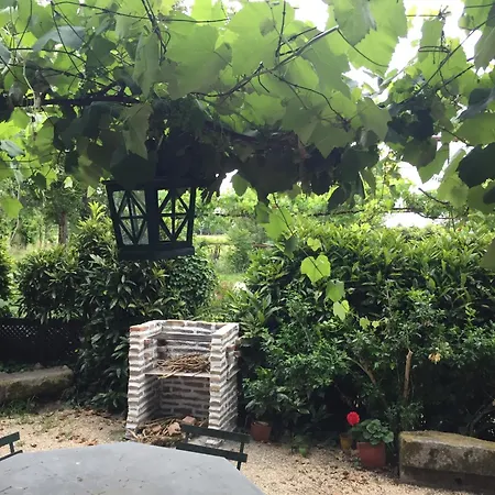 Quinta Da Mainha - Charming - Escape To Nature * Брага