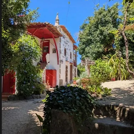 Ferienhaus Quinta Da Mainha - Charming - Com Piscina Privada