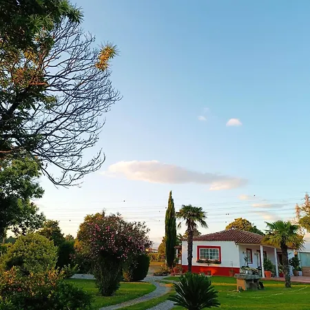 Quinta Da Mainha - Charming - Escape To Nature * ブラガ