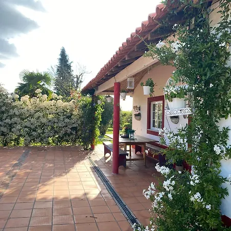 Quinta Da Mainha - Charming Houses - Com Piscina Privada Ferienhaus *