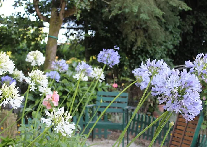 Quinta Da Mainha - Charming - Escape To Nature Ferienhaus