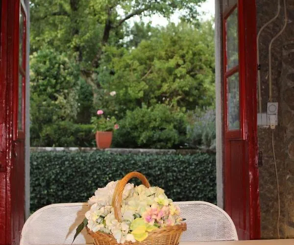 Quinta Da Mainha - Charming - Escape To Nature Ferienhaus