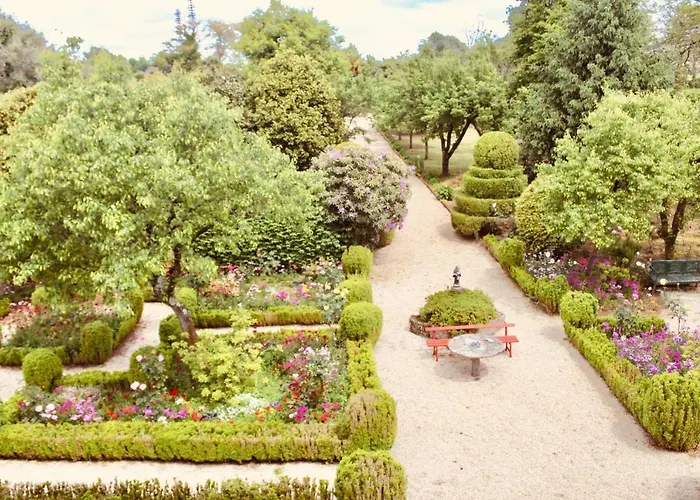 Quinta Da Mainha - Charming - Escape To Nature Casa vacanze *