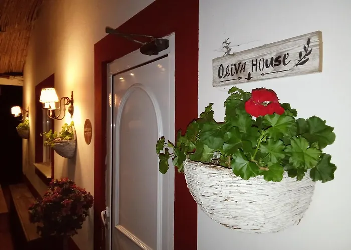 Quinta Da Mainha - Charming - Escape To Nature Ferienhaus