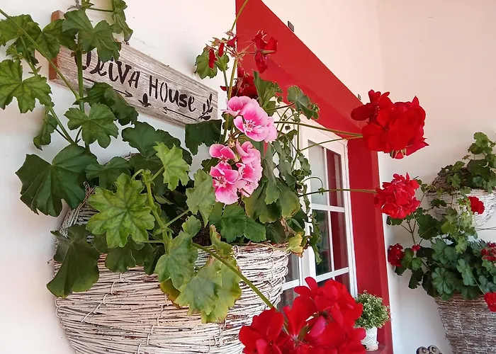 Quinta Da Mainha - Charming - Escape To Nature * Braga