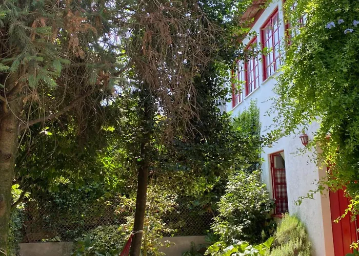 Quinta Da Mainha - Charming - Escape To Nature Casa vacanze *