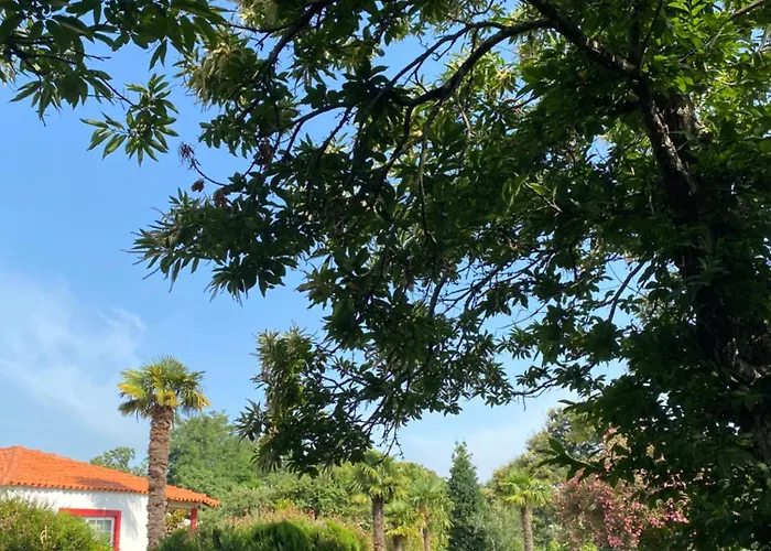 Quinta Da Mainha - Charming - Escape To Nature * Braga